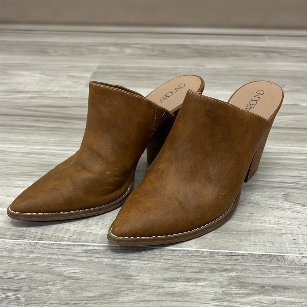 Abound Brown Mules with Pointed Toe and Stacked Heel